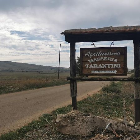 Masseria Tarantini Castel Del Monte  Ngoại thất bức ảnh
