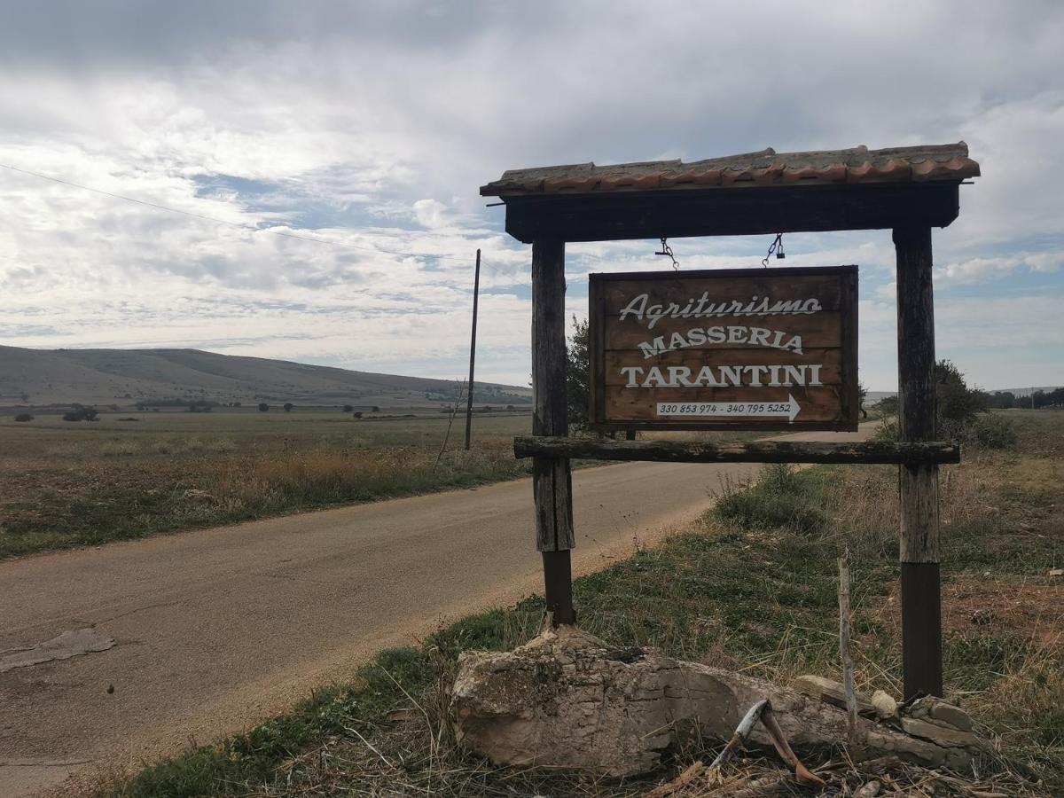 Masseria Tarantini Castel Del Monte  Ngoại thất bức ảnh